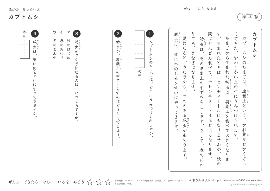 読解 せつめい文 標準③ カブトムシのプレビュー