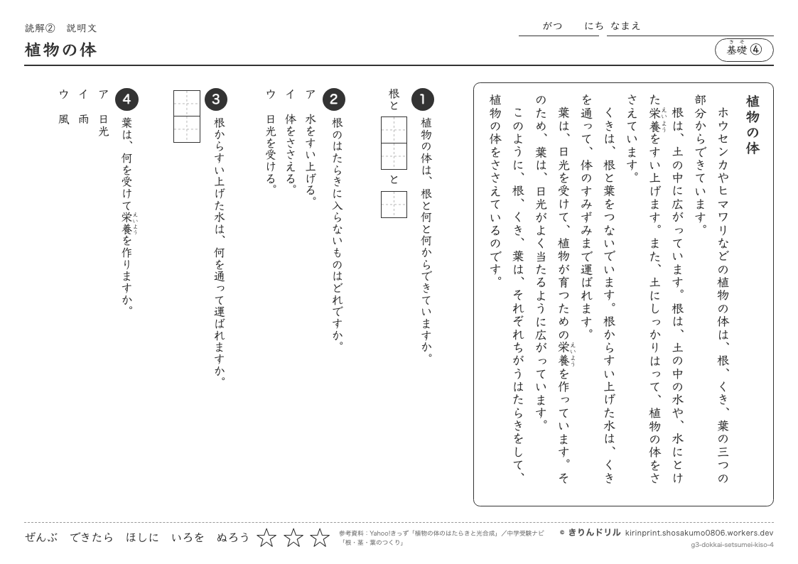 読解 説明文 基礎④ 植物の体のプレビュー