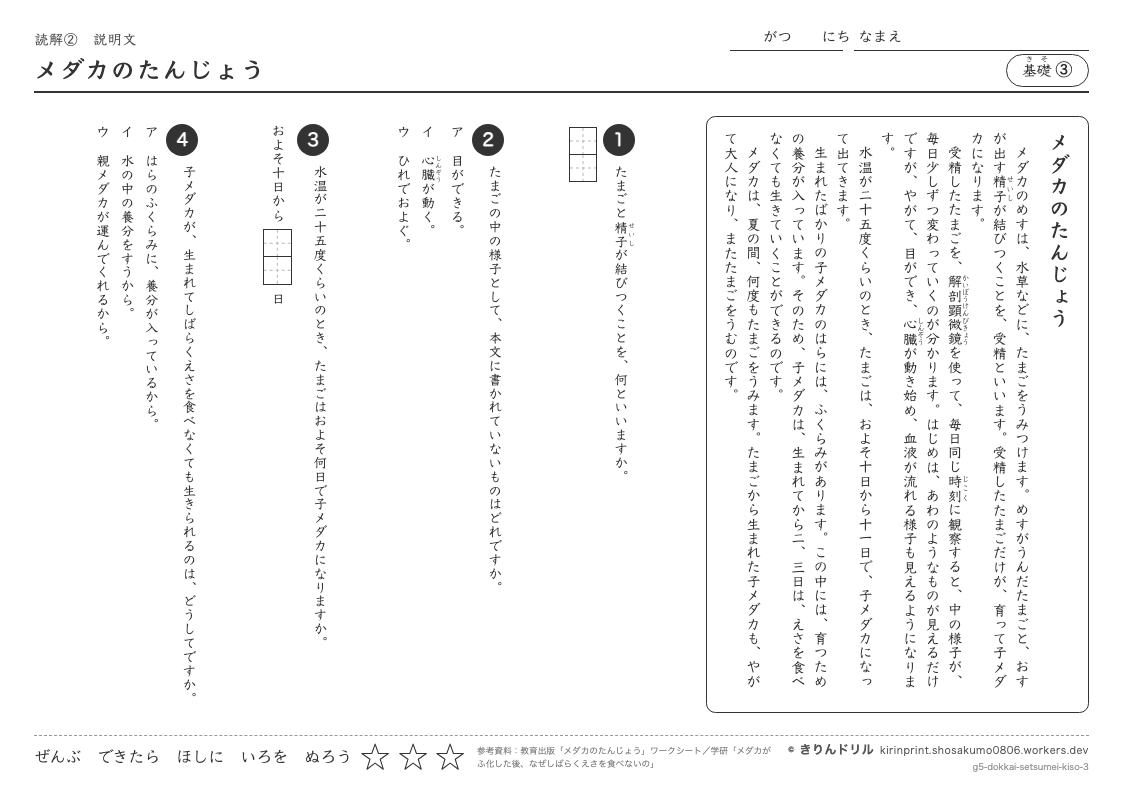 読解 説明文 基礎③ メダカのたんじょうのプレビュー